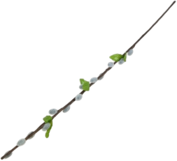 CF5475(1).png